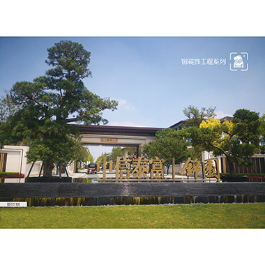 �~�b���ϵ��